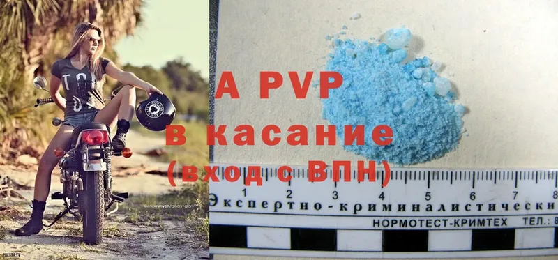 где купить наркоту  Каргополь  A-PVP VHQ 