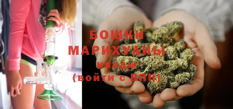 ссылка на мегу зеркало  Каргополь  Бошки марихуана THC 21% 